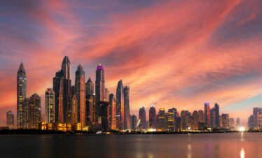 pexels apasaric 5686514