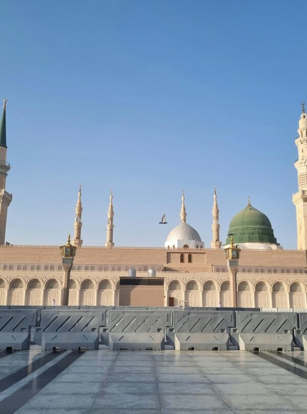 pexels gonuldenbirkare 2148244190 34500892