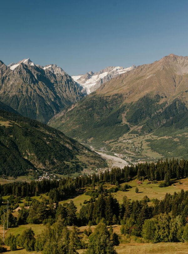 pexels julia volk 5272965