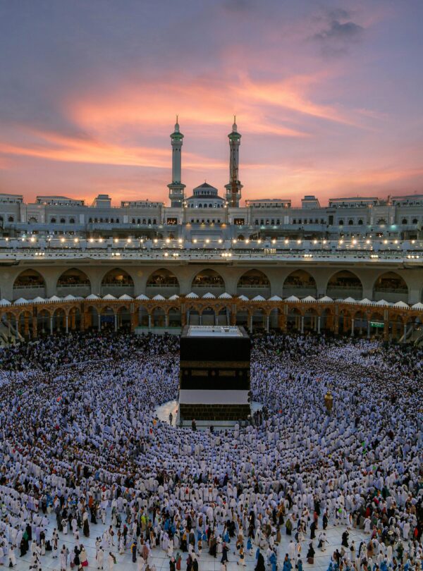 pexels sultan 175963006 18274181