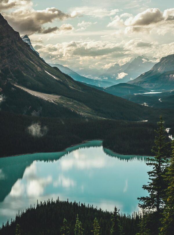 pexels vishal amin 302220 910307